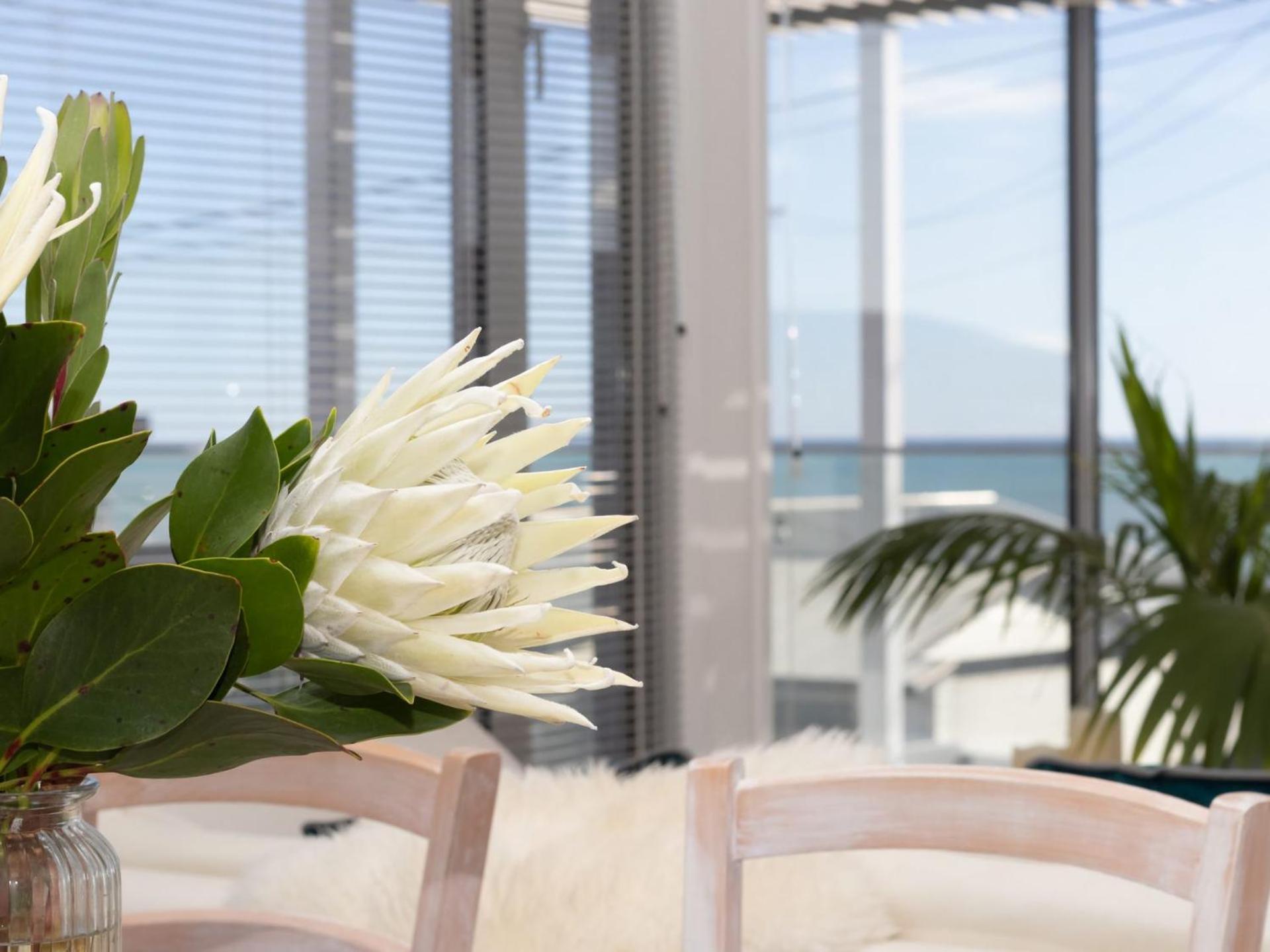 The Ocean Outlook - Pure Luxury Accommodation New Plymouth Extérieur photo