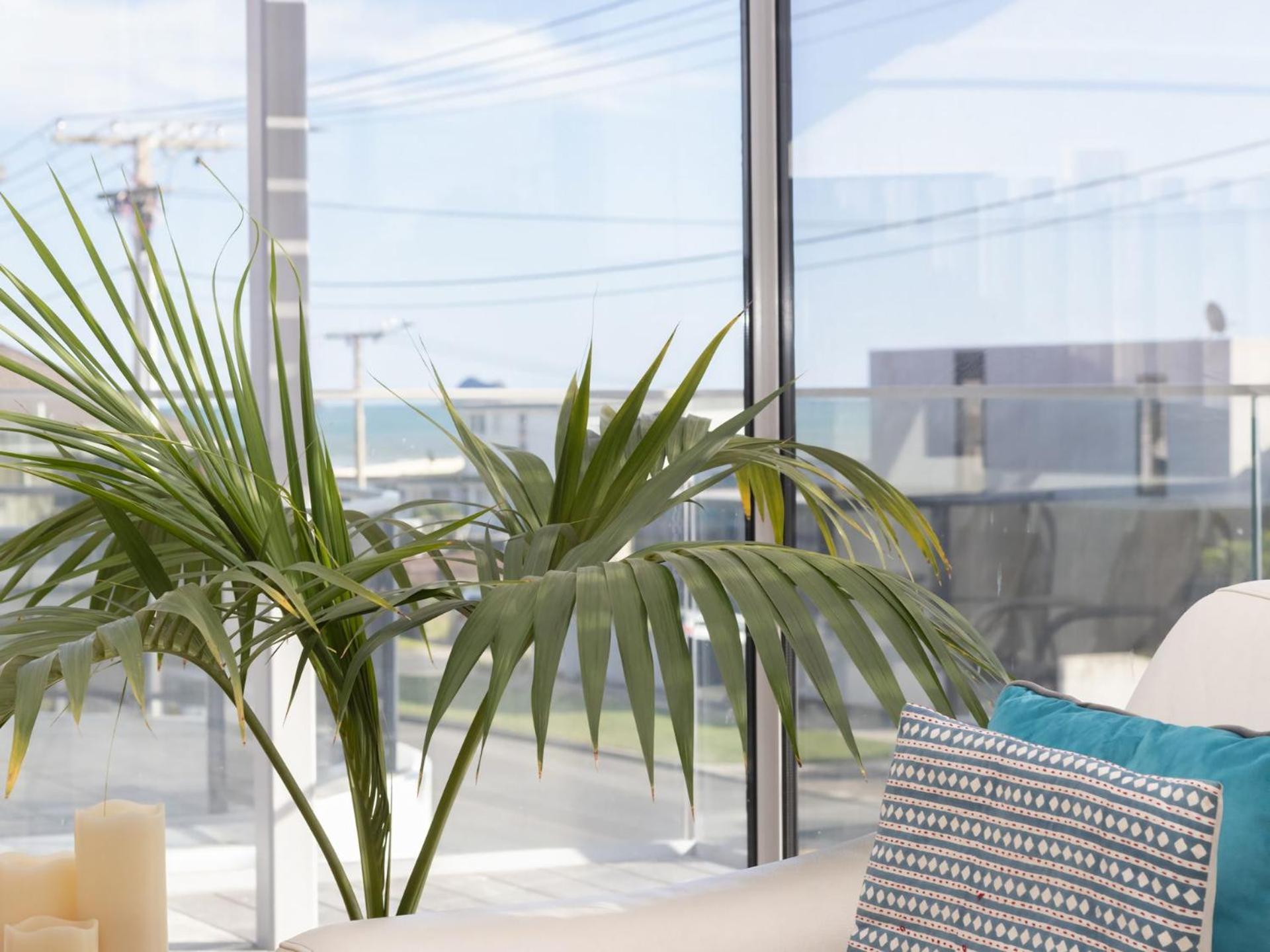 The Ocean Outlook - Pure Luxury Accommodation New Plymouth Extérieur photo